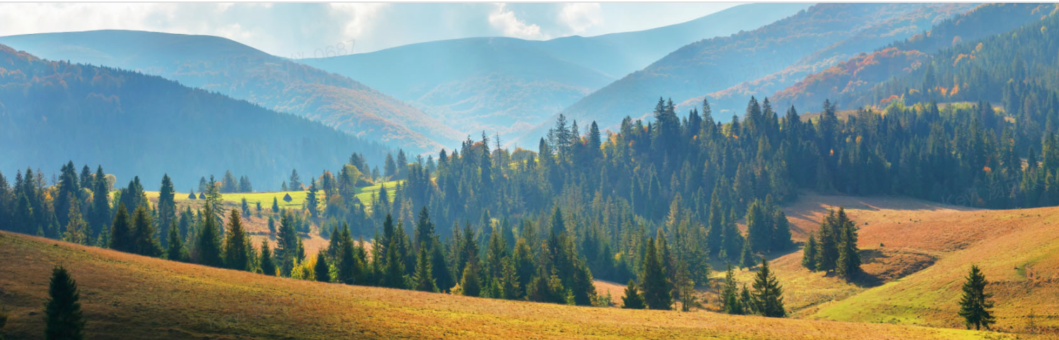 Globaler Rasenratgeber: Die besten Rasentypen für Ihr Klima