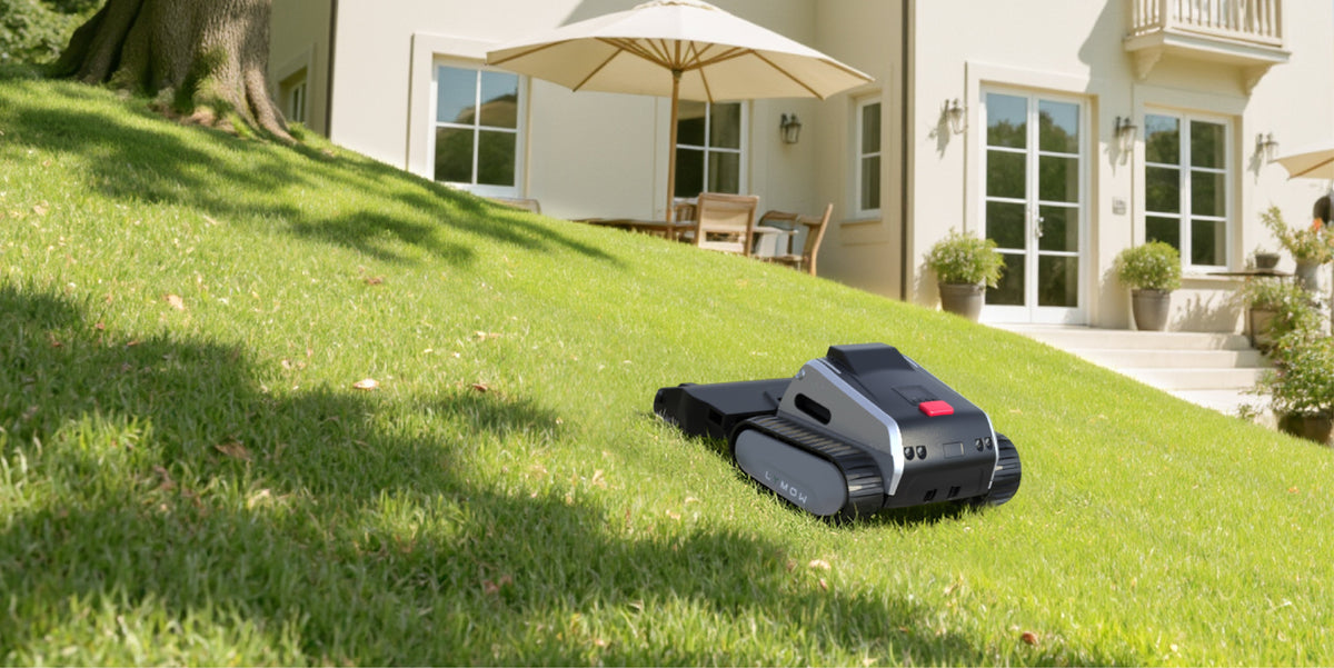 Jenseits des Preisschilds – die wahren Kosten der Rasenpflege