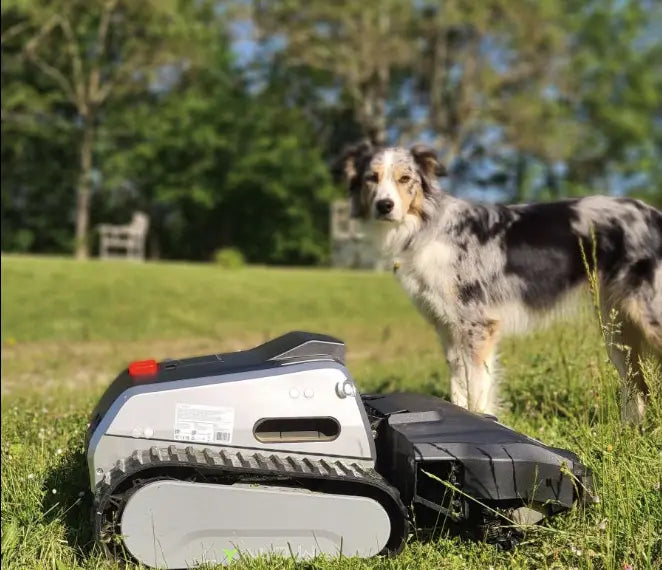 18_f0767c39-f329-42fe-99e0-802bfb99ff18.webp