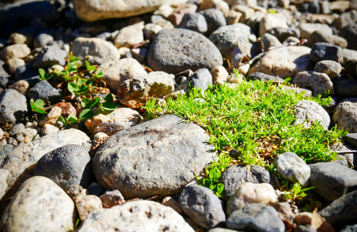 Kies, kleine Steine