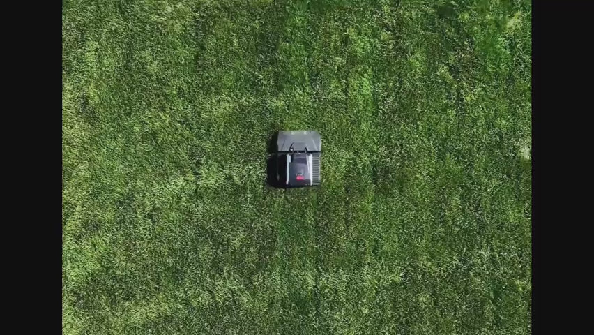 bigbiglawn.mov